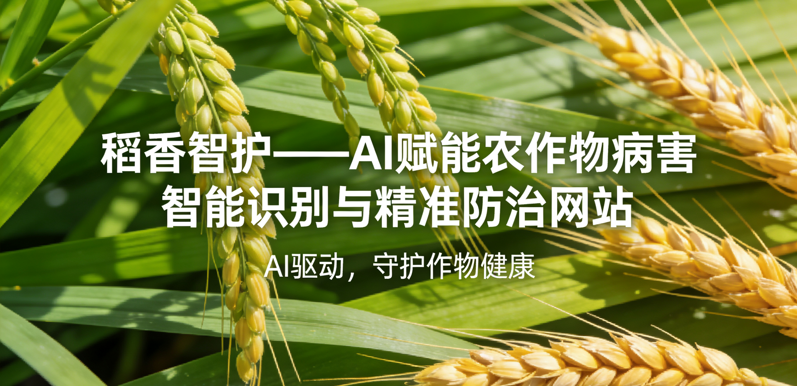 智慧农业背景图片